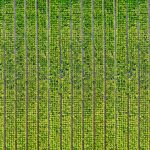 Innovatieve oplossingen voor betere gewasgroei: vloeibare meststof en ontijzeringsinstallatie